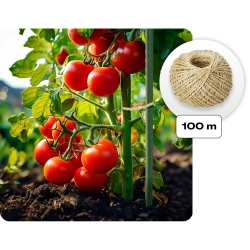 Culture de tomates sous tunnel de jardin PLONOS 2 x 2 m