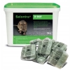 Selontra BASF 3 kg – pâte rodenticide contre rats et souris