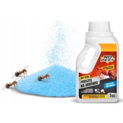 Traitement efficace contre les colonies de fourmis