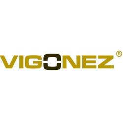 Logo officiel VIGONEZ NEPTUNE